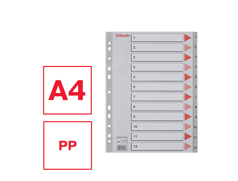 ESSELTE - Separadores 12 posiciones A4 Multitaladro Gris (Ref.100106)