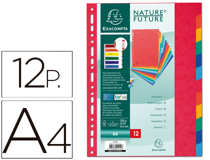 EXACOMPTA - Separador CARTULINA LUSTRADA 12 POSICIONES (Ref.1412E)