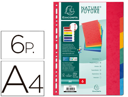 EXACOMPTA - Separador CARTULINA LUSTRADA 6 POSICIONES (Ref.1406E)