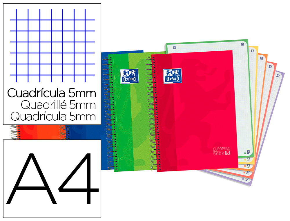 OXFORD - Cuad EASYNOTES A4+ 80H C5 400019526 (Ref.100430279)