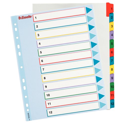 ESSELTE - Separadores 12 posiciones A4 (Ref.100209)