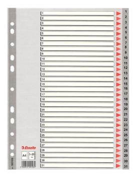 ESSELTE - Separadores numericos 31 posiciones A4 Multitaladro (Ref.100108)