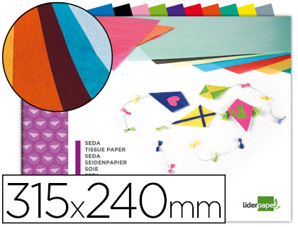 LIDERPAPEL - BLOC TRABAJOS MANUALES SEDA 240X315MM 10 HOJAS COLORES SURTIDOS (Ref.TM08)