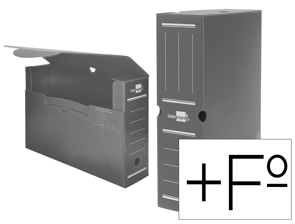 LIDERPAPEL - Caja archivo definitivo plastico gris 387x275x105 mm (Ref. DF16)