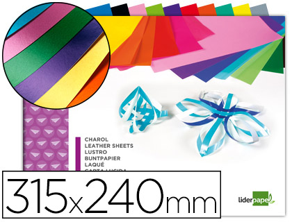 LIDERPAPEL - BLOC TRABAJOS MANUALES CHAROL 240X315MM 10HOJAS COLORES SURTIDOS (Ref.TM05)