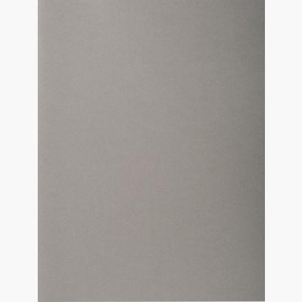 EXACOMPTA - Subcarpetas Foldyne Caja 100 ud A4/folio Cartulina reciclada Gris 250 G (Ref.410009E)