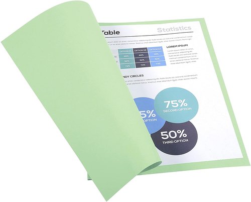 EXACOMPTA - Subcarpetas Foldyne Caja 100 ud A4/folio Cartulina reciclada Verde claro 250 G (Ref.410013E)