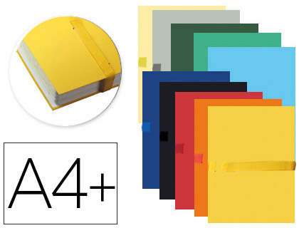 EXACOMPTA - CARPETA DE PROYECTO DIN A4 LOMO HASTA 130 MM EXTENSIBLE CON TIRA DE VELCRO COLORES SURTIDOS (Ref.2640E)