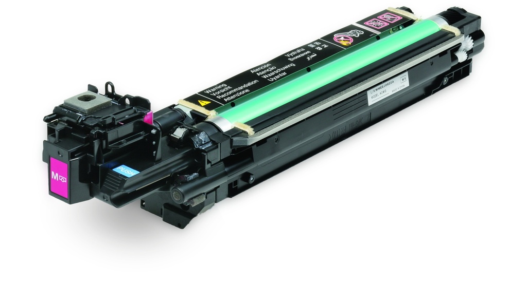 EPSON - Unidad Fotoconductora S0151202 Magenta (Ref.C13S051202)