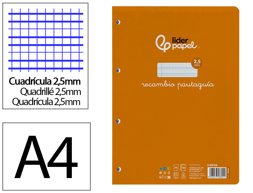 LIDERPAPEL - RECAMBIO FOLIO PAUTAGUIA 100 HOJAS 80 G CUADRICULADO PAUTADO 2,5 MM CON MARGEN 4 TALADROS (Ref.RF26)