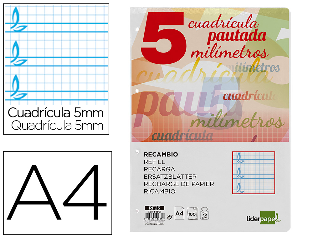LIDERPAPEL - RECAMBIO FOLIO PAUTAGUIA 100 HOJAS 80 G CUADRICULADO PAUTADO 5 MM CON MARGEN 4 TALADROS (Ref.RF25)