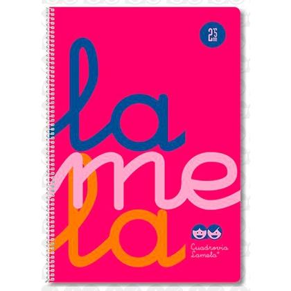 LAMELA - Cuaderno Fº polipropileno C5 80 hojas 90 grs rosa (Ref.7FTP005R)
