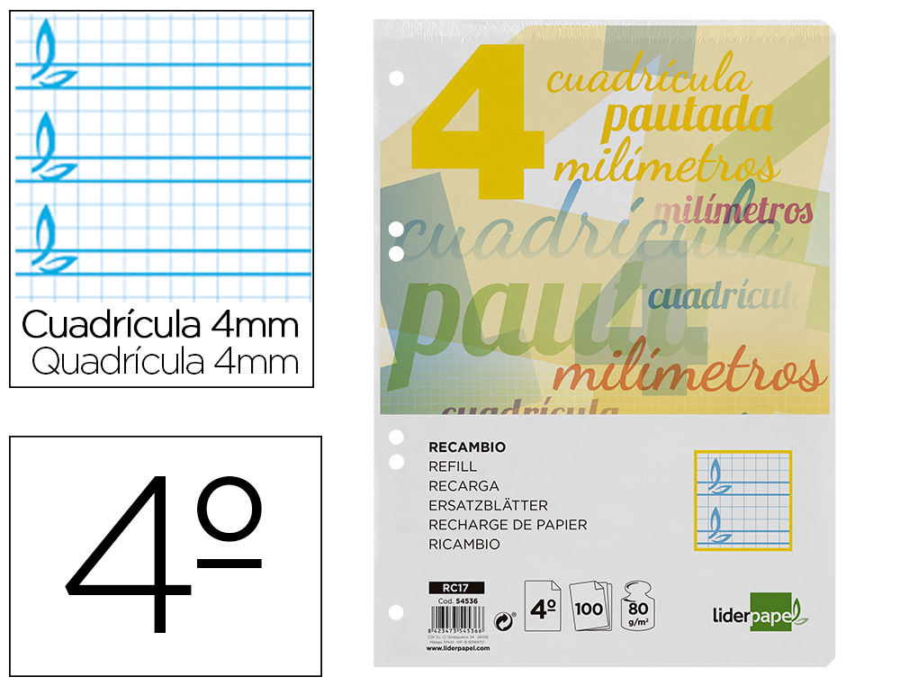LIDERPAPEL - RECAMBIO CUARTO PAUTAGUIA 100 HOJAS 80 G CUADRICULADO PAUTADO 4 MM CON MARGEN 6 TALADROS (Ref.RC17)