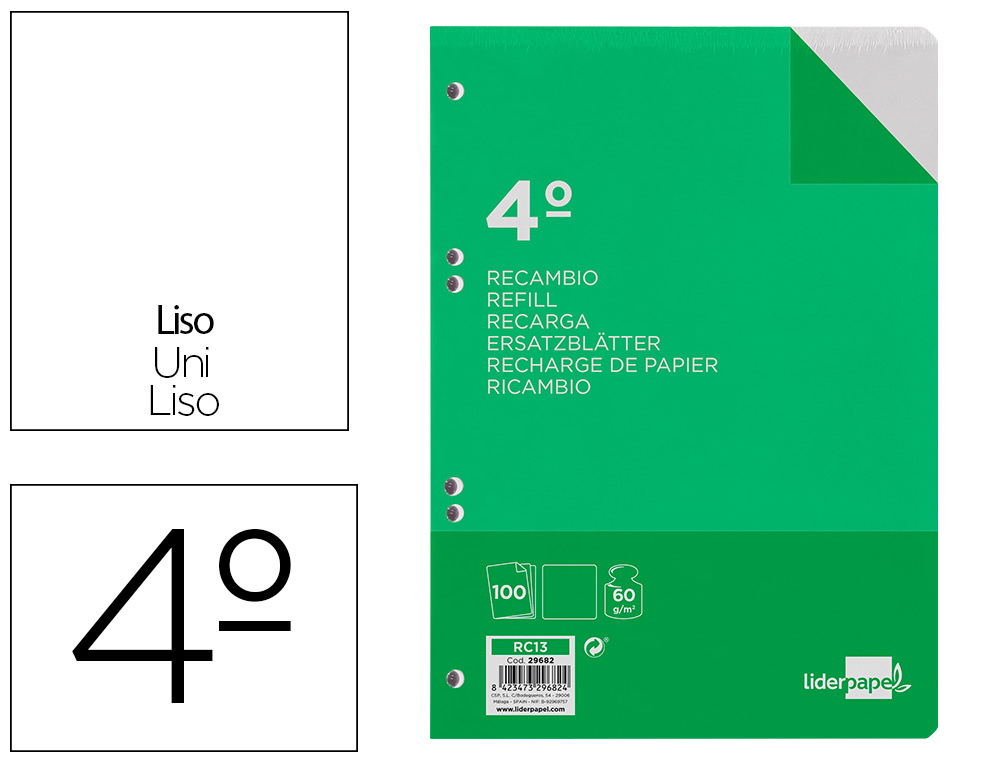 LIDERPAPEL - RECAMBIO CUARTO 100 HOJAS 60G/M2 LISO SIN MARGEN 6 TALADROS (Ref.RC13)