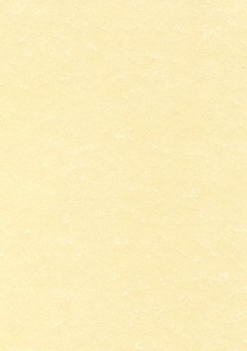 APLI - PAPEL PERGAMINO A4 95g 100h CHAMPAN (Ref.PCL1601/11958)