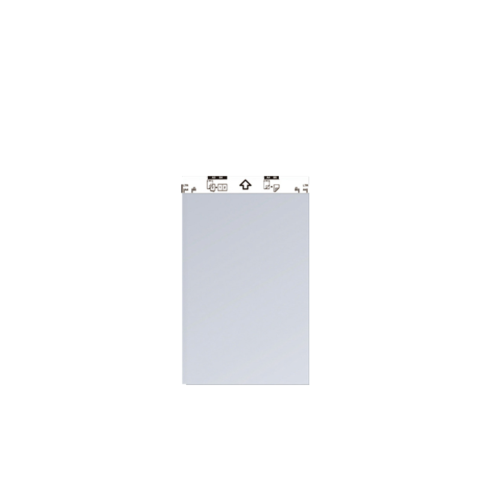BROTHER - Pack de 2 hojas portadoras A4 (A3) (Ref.CSP001)