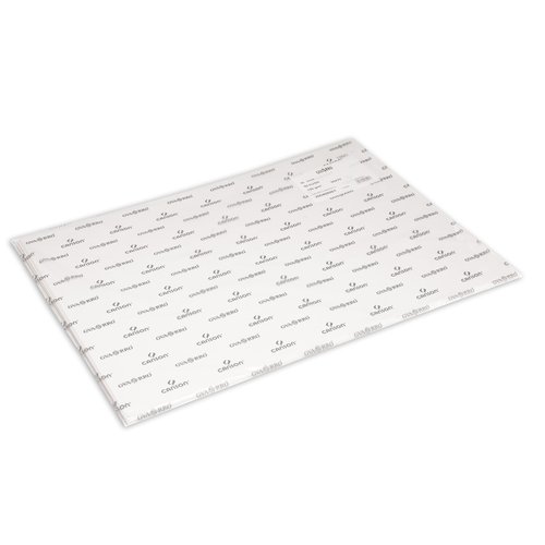 CANSON - LAMINA GUARRO- DIBUJO BASIK 150g 50x70 cm (Ref.C200408001)