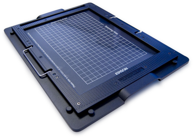 EPSON - Accesorio escaneado de películas con fluido para (V700/V750) (Ref.B12B818272)