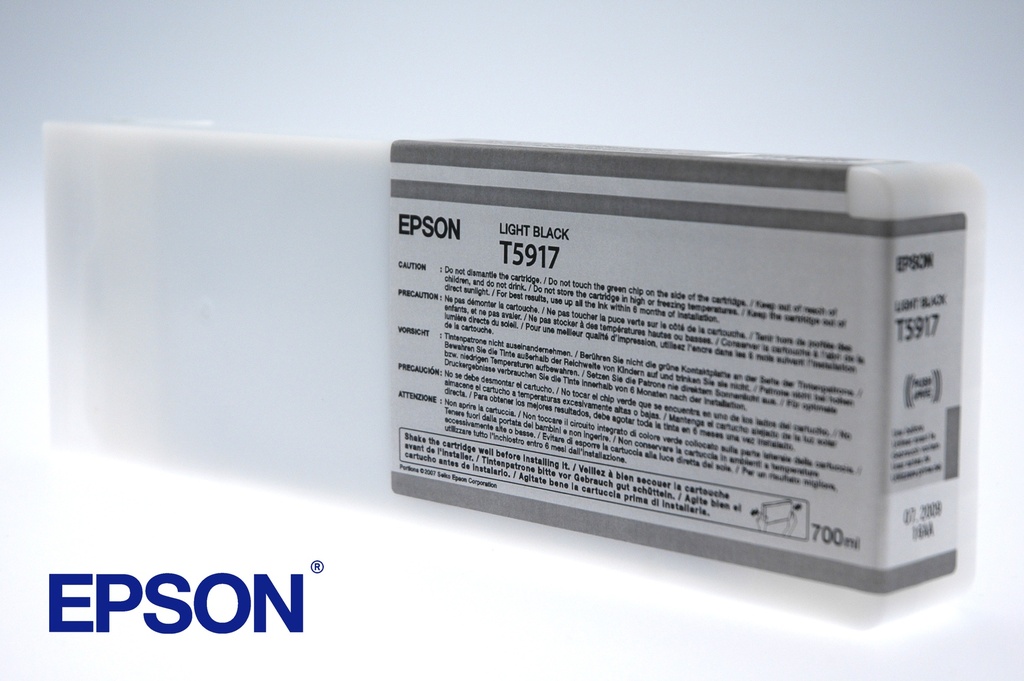 EPSON - GF Stylus Photo 11880 Cartucho Negro claro (Ref.C13T591700)