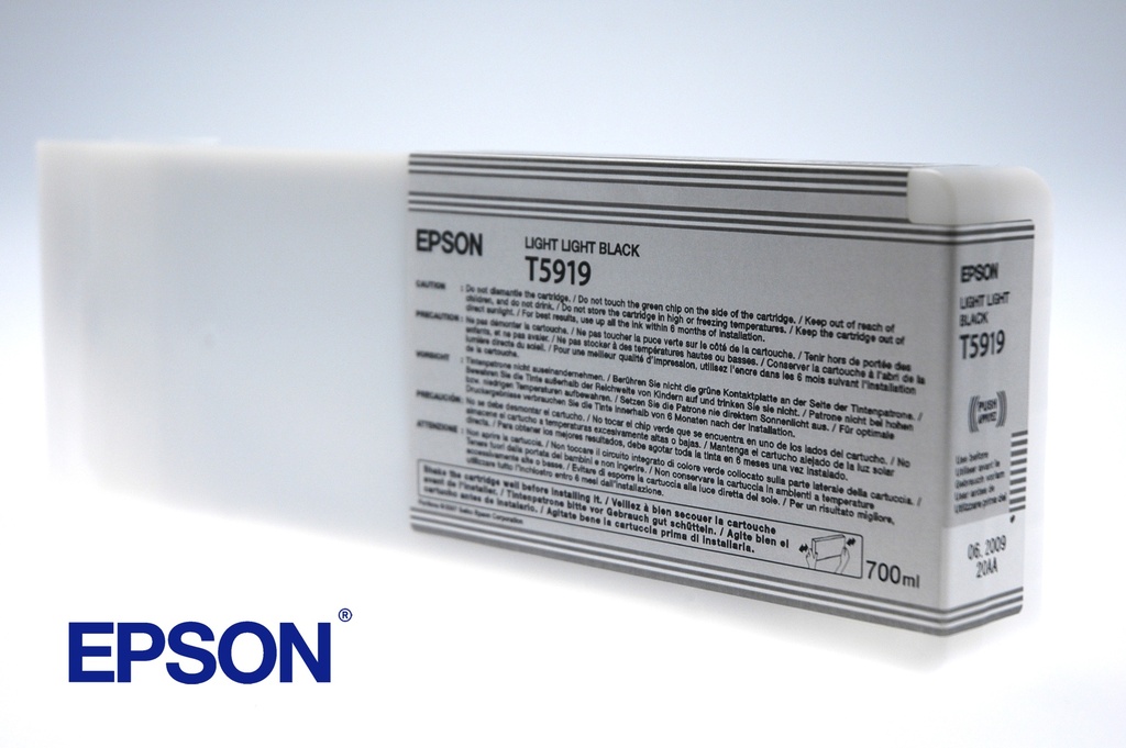 EPSON - GF Stylus Photo 11880 Cartucho Negro mas claro (Ref.C13T591900)