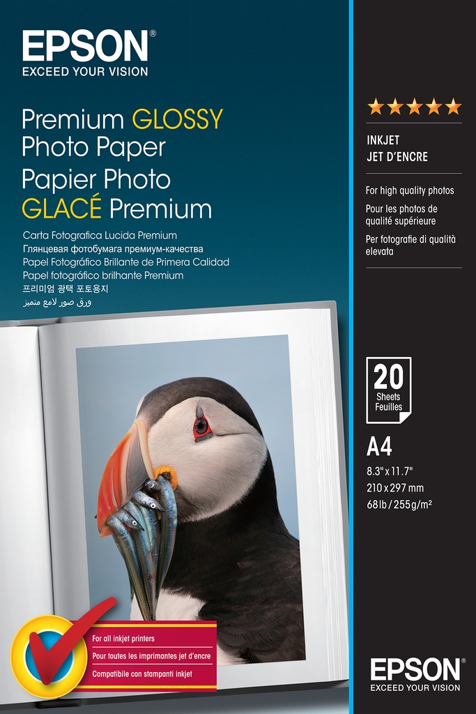 EPSON - Papel Premium Glossy Photo 255g, 20 Hojas de A4 (Ref.C13S041287)