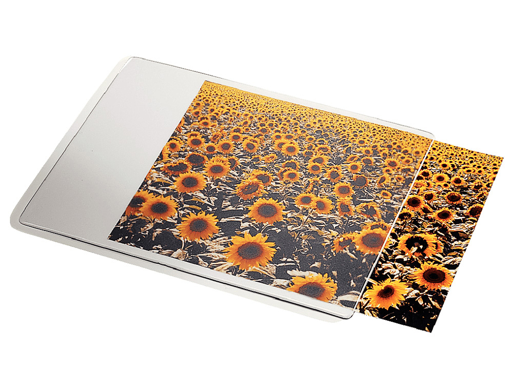 ESSELTE - ALFOMBRILLA PERSONALIZABLE DATALINE PARA RATON (Ref.67691)