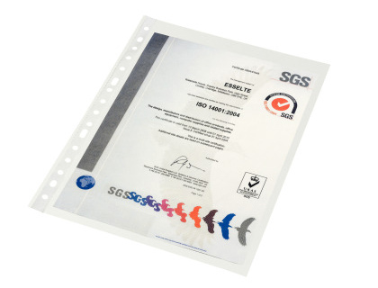 ESSELTE - FUNDA MULTITALADRO PVC 80µ LISO A4 11 TAL.RFZO. PAQUETE de 100 (Ref.2531)