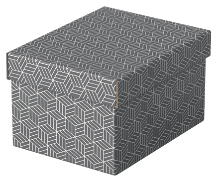 ESSELTE - PACK 3 CAJAS GRISES 255X200X150MM (Ref.628281)