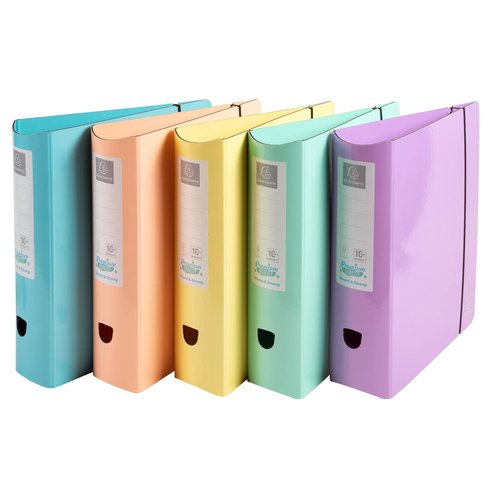 EXACOMPTA - ARCHIVADOR EXAC. CARTON FR. A4 80 SURT. (Ref.53760E)