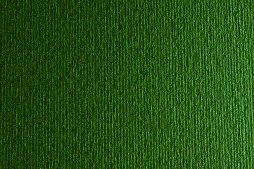 FABRIANO - CARTULINA LISA/RUGOSA 2 TEXTURAS 50X70 CM 220G/M2 VERDE PINO (Ref.F42450728)