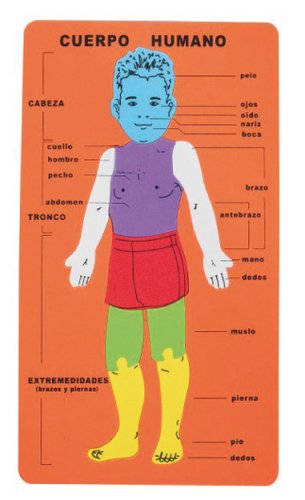 FIXO - GOMA EVA PUZZLE 20x32 cm. CUERPO HUMANO (Ref.5024/68002800)