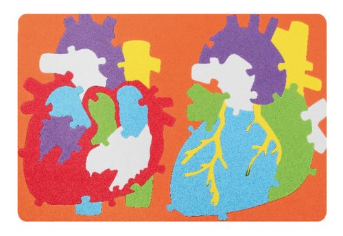 FIXO - GOMA EVA PUZZLE 23x32 cm. SISTEMA CARDIACO (Ref.5028/68003200)