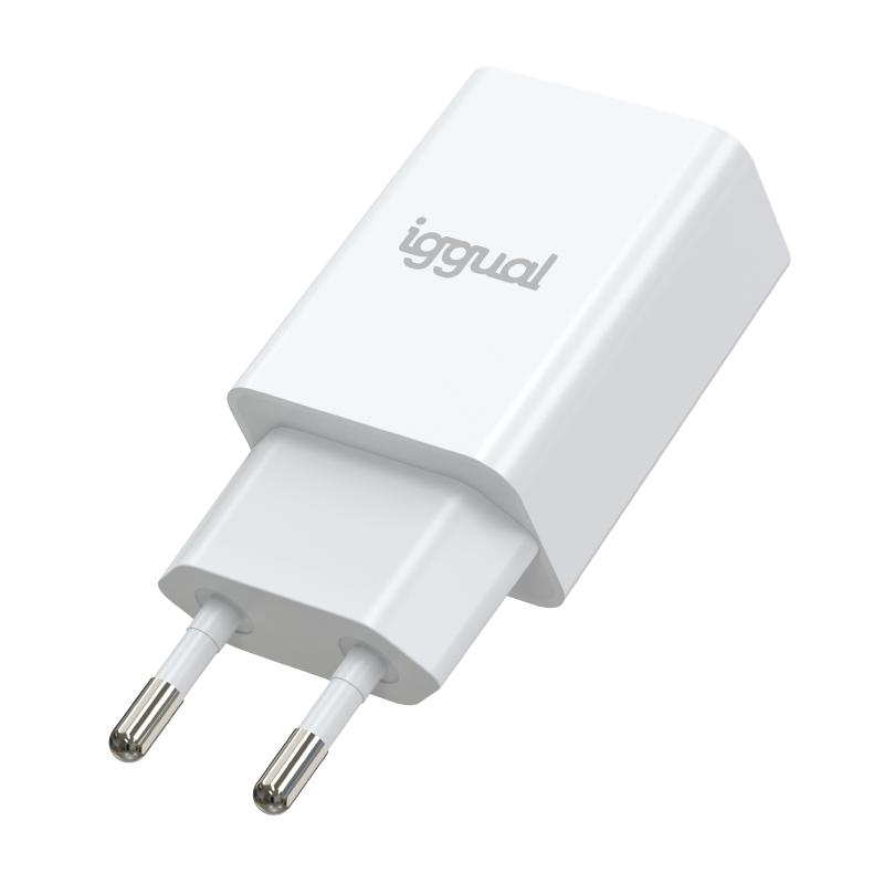 IGGUAL - cargador de pared 1xUSB 5V/2A (10W) (Ref.IGG316924)