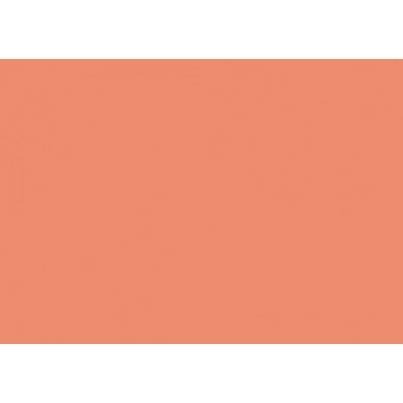 IRIS - CARTULINA 29,7X42CM 185GR CORAL -50U- (Ref.C32127S014)