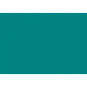 IRIS - CARTULINA 29,7X42CM 185GR VERDE MENTA -50U- (Ref.C32127S017)