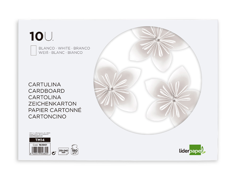 LIDERPAPEL - BLOC TRABAJOS MANUALES CARTULINA 240X315MM 10 HOJAS COLOR BLANCO (Ref.TM14)