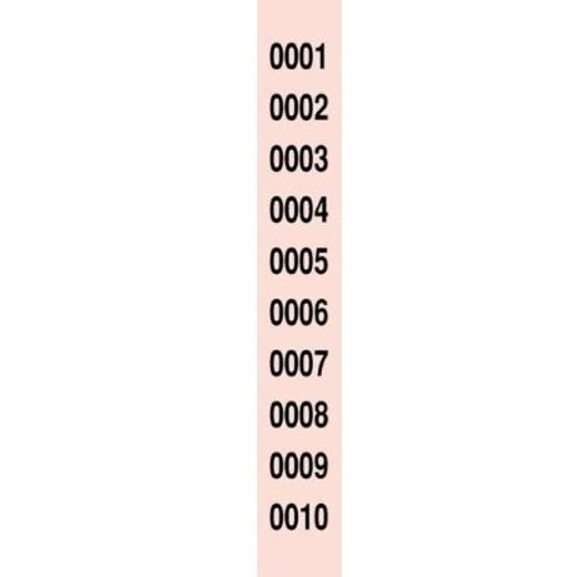 LOAN - TALONARIOS RIFAS DEL 1 AL 10000 (40) (Ref.R-980/10)