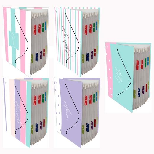 MARIOLA - CARPETA FUELLE ACORDEÓN 12 C/GOMA FOLIO CARTÓN FORRADO PLASTIFICADO DISEÑOS SURTIDOS (Ref.0919FR-EX)