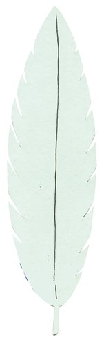 NIEFENVER - CARTULINA IMANTADA 24x15 cm. para PINTAR Y DECORAR VERDE BOLSA de 3 (Ref.1300158)