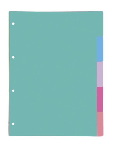 OXFORD - SEPARADORES CARTULINA A4 5 ps. (Ref.400149956)