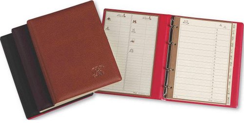 PARDO - LISTIN TELEFONICO 4 anillas 300 MARRON (Ref.30006)