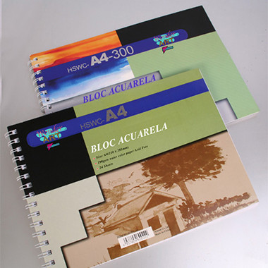 PRYSE - papel decorativo Bloc de hojas de papel para bellas artes 12 hojas (Ref.6230034)