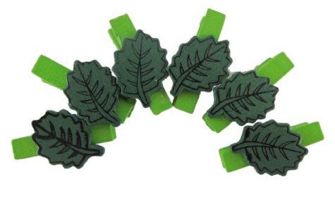 SMART - PINZAS FIXO KIDS MADERA HOJAS VERDES PACK de 6 (Ref.68006200)