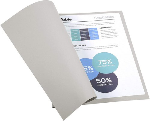 EXACOMPTA - Subcarpetas Foldyne Caja 100 ud A4/folio Cartulina reciclada Gris 180 G (Ref.420009E)