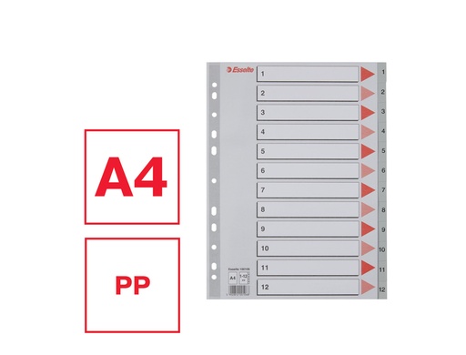 [1795634] ESSELTE - Separadores 12 posiciones A4 Multitaladro Gris (Ref.100106)