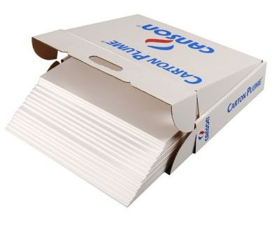 [91340493] CANSON - Cartón Pluma Paquete 17 Hojas 5 mm A3 Blanco (Ref.205154223)