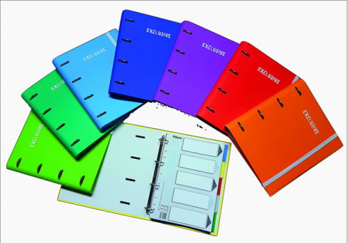 [9936317] PACSA - CARPEBLOC EXCLUSIVE CARTON FORRADO SOFT A4 4 an.MIXTAS 35mm con REC. 120 hj. CUADRIC.5x5 + 5 SEPARADORES SURTIDO (8 col.) (Ref.25007)