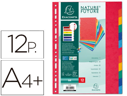 [9076292] EXACOMPTA - Separador CARTULINA LUSTRADA XXL 12 POSICIONES (Ref.2412E)