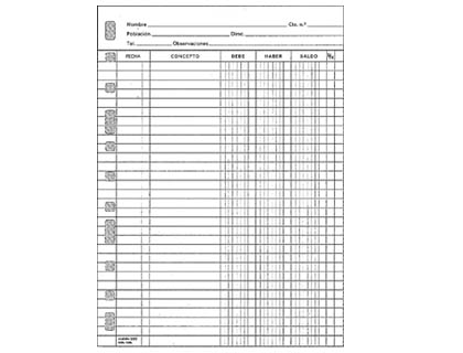[9006835] FINOCAM - Recambio Cuentas corrientes 215x310mm (Ref.4175500)