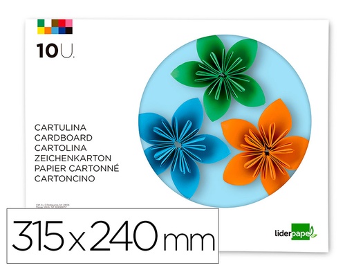 [2000757] LIDERPAPEL - BLOC TRABAJOS MANUALES CARTULINA 240X315MM 10 HOJAS COLORES SURTIDOS (Ref.TM02)